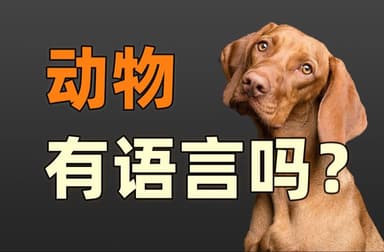 动物有语言吗?