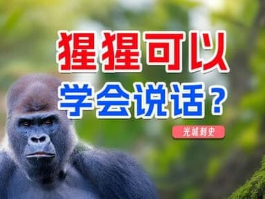 猩猩可以学会说话？